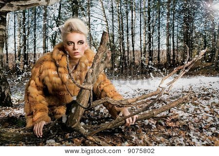 Foxy Lady.