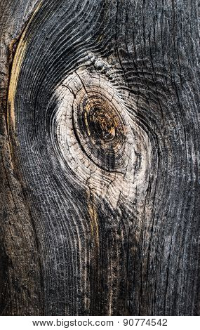 old wood