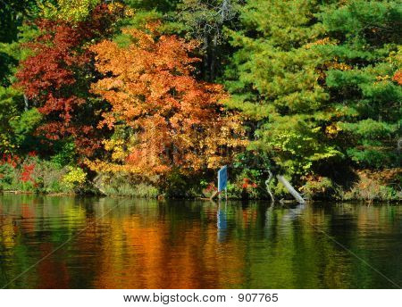 댐에서가 색