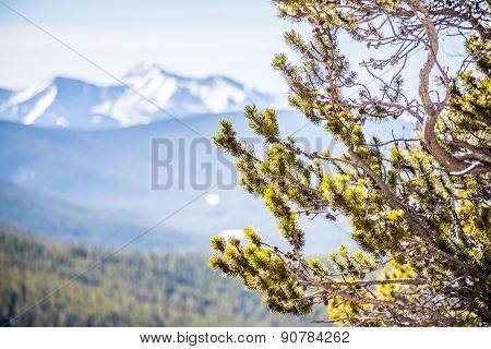 Colorado Rocky Mountains Near Monarch Pass