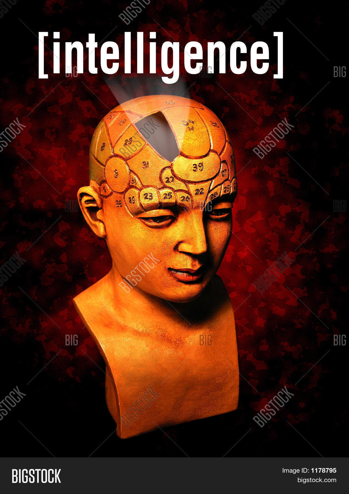 Image Preview