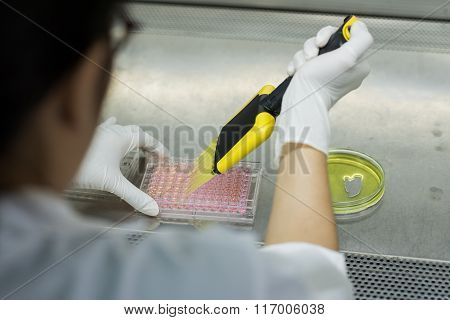 Researcher transfers testing fluid