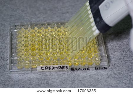 96 well plate for microbiological laboratory