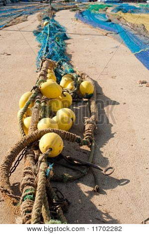 Olta takımı