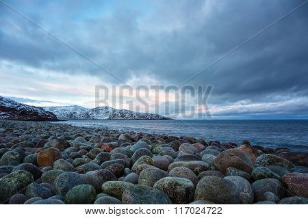 Beach With Large Round Stones On The Coast Of The Barents Sea,  Arctic