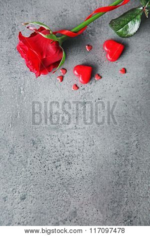 Beautiful red rose with small hearts on grey textured background