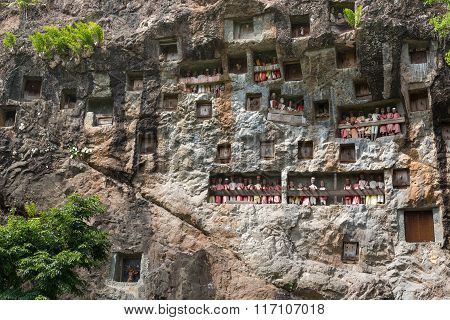 Lemo Is Cliffs Burial Site In Tana Toraja, South Sulawesi, Indonesia