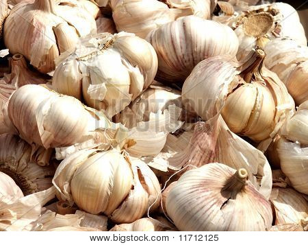 Bulk-Knoblauch