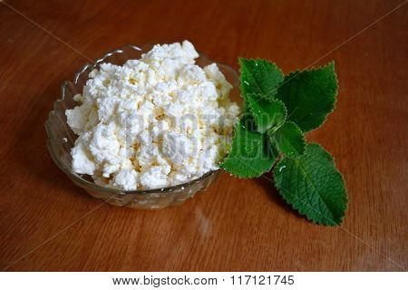 A Sprig Of Mint With Cheese