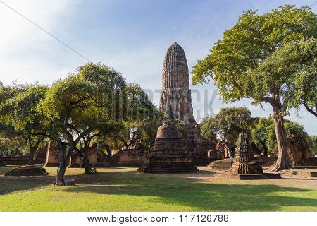 ancient temple under sunlight with the tree