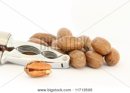 Nozes Pecan e Nut-cracker
