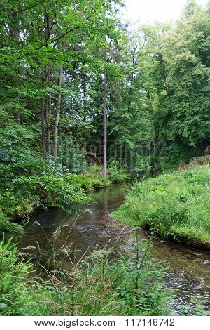 Kirnitzsch Valley With River Kirnitzsch In Saxon Switzerland