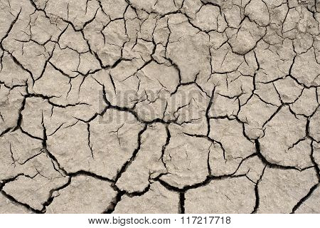 Cracked Ground