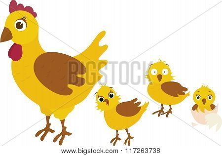 Chicken family, with the mother of her three yellow chicken babies - vector illustration.