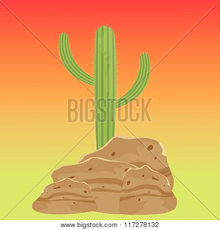 Cactus in the desert