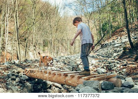 Little Traveker In Spring Forest With His Dog