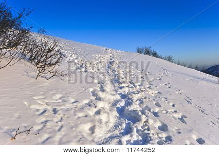 Sentier sur la neige