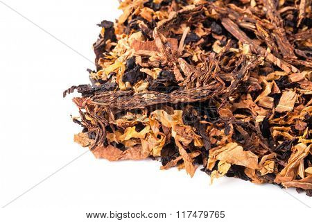 dried smoking tobacco. Isolated on a white background.
