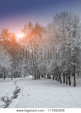 Winter Landscape At Sunset.