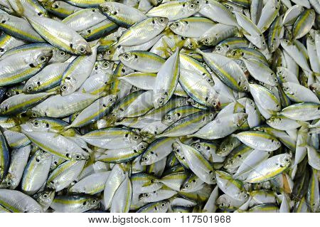 Fresh fish texture or background in market