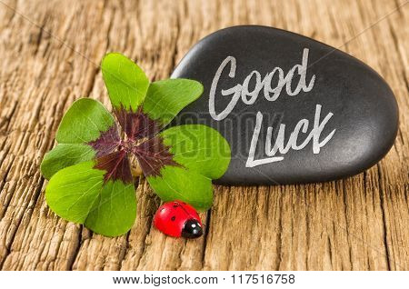 A Stone With A Four-leafed Clover Ans A Ladybug