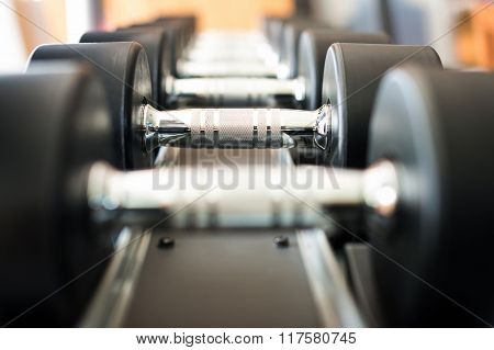 Dumbbell In Fitness Club