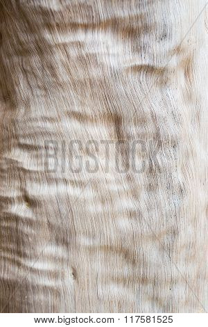 Abstract Wood Texture Background