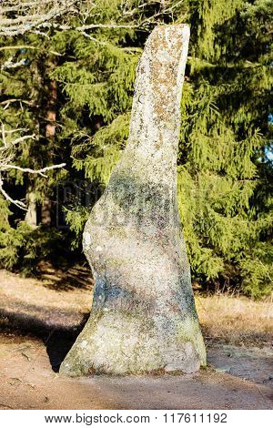 The Bjorketorp Rune Stone