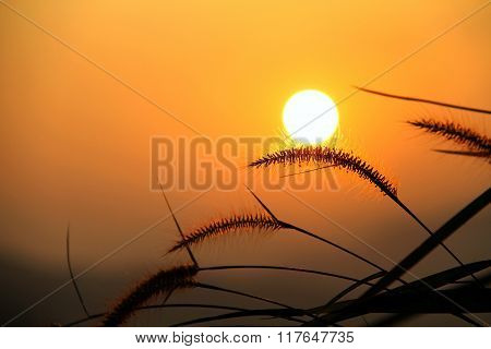 Sunrise Over Meadow