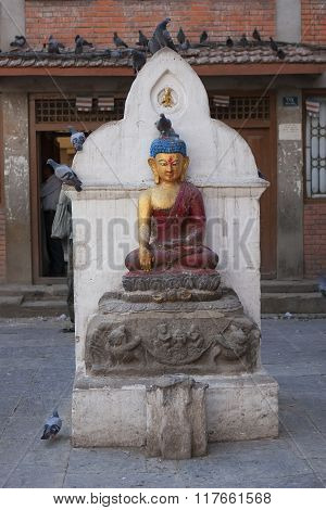 Kathmandu, Nepal - May 12: Pigeons On City Square In Kathmandu, Nepal On May 12, 2014