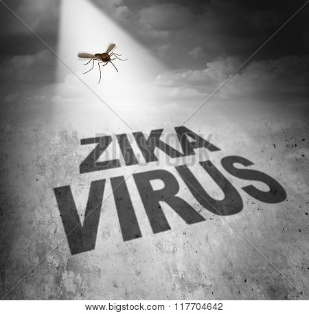 Zika Virus Risk