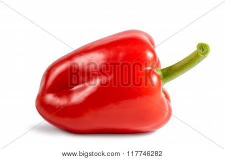 Red Sweet Pepper Isolated On White Background