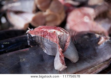 Fresh Raw Slice Of Tuna Fish