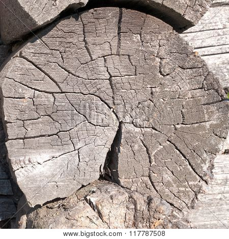 Weathered And Cracked Wooden Logs