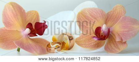 Pair Of Wedding Splendid Rings