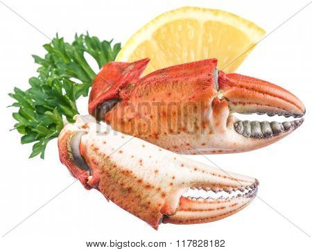 Cooked crab claws with lemon and herbs on a white background.