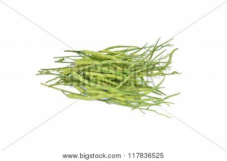 Raphanus Sativus Linn. Var. Caudatus Alef Isolated On White Background