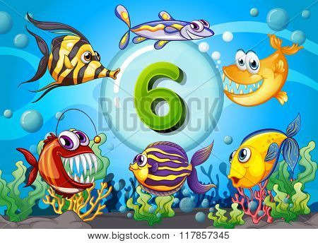 Flashcard number six with 6 fish underwater illustration
