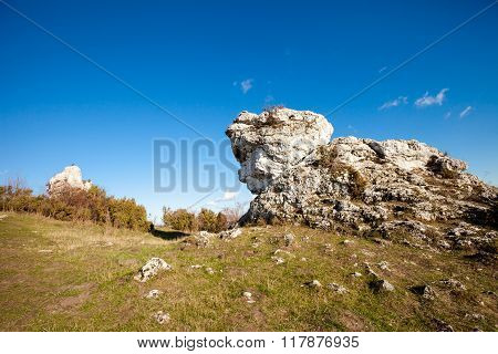 Jura krakowsko-czestochowska autumn view