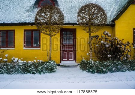 Yellow House