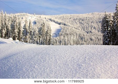Winter Ski kullen landskap
