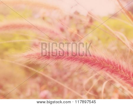 All kinds of colorful floral pattern background for display or editing products.