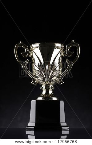Winning Trophy Championship Award