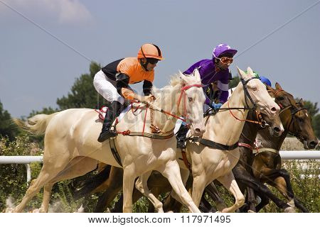 Horse Racing In Pyatigorsk.