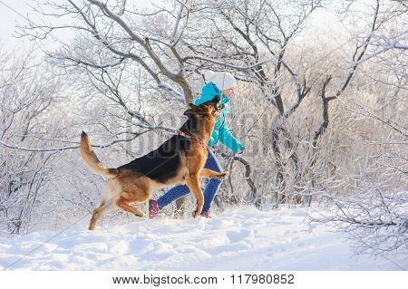 Girl trains her dog German Shepherd