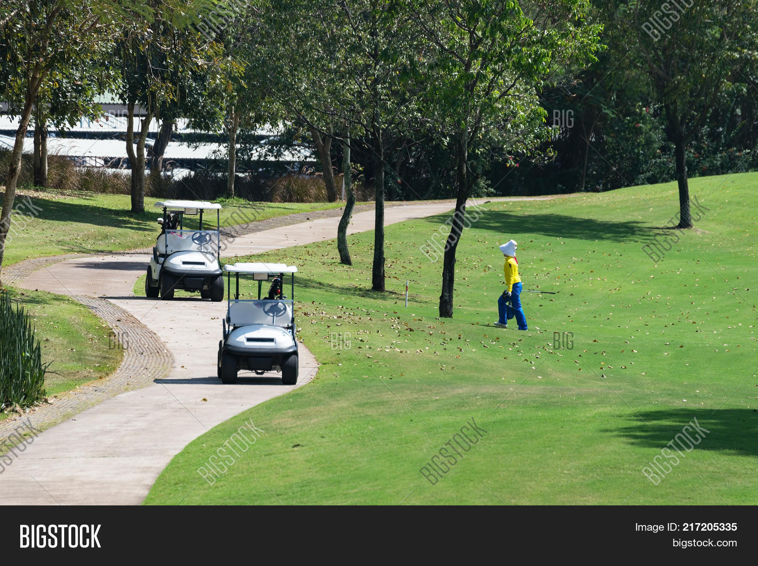 Road Golf Cart Golf Image & Photo (Free Trial) Bigstock