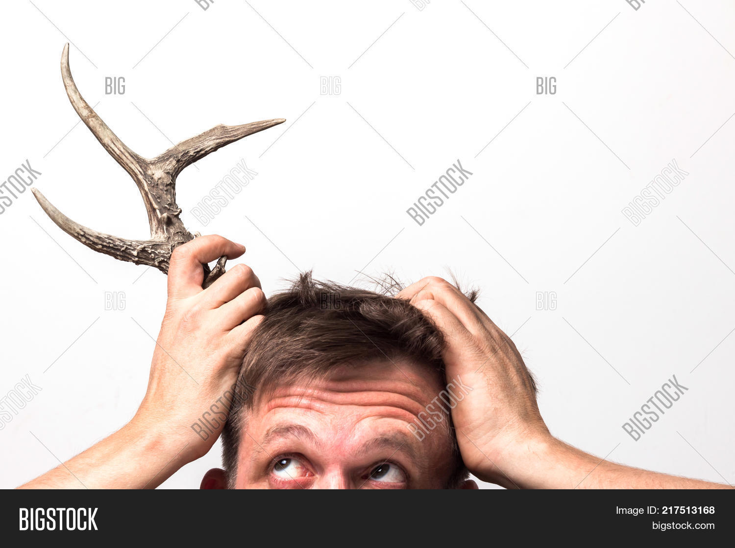 Какие бывают рога. Рога на стене. Рога оленя. Разные рога. Система хранения на лосиных рогах.