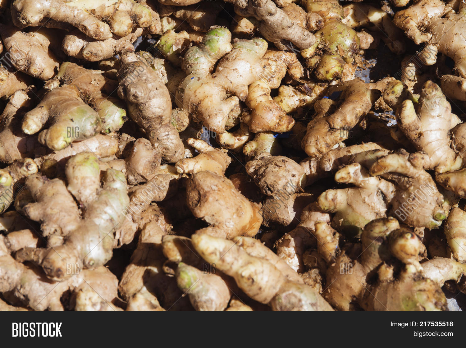 Ginger Root Pile On Image & Photo (Free Trial) Bigstock