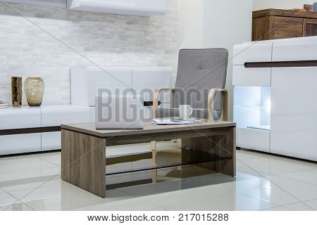 view of modern living room interior with furniture