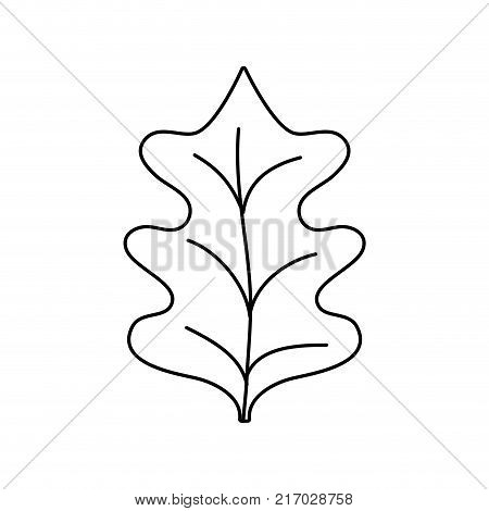 line tropical kale leal natural plant vector illustration